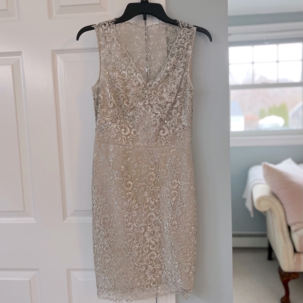 BCBG silver/champagne cocktail dress